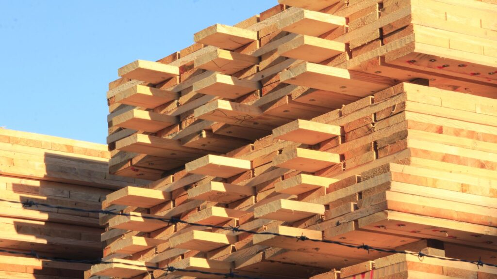 O Que e Madeireira Entenda Como Funciona e Quais Produtos Oferece