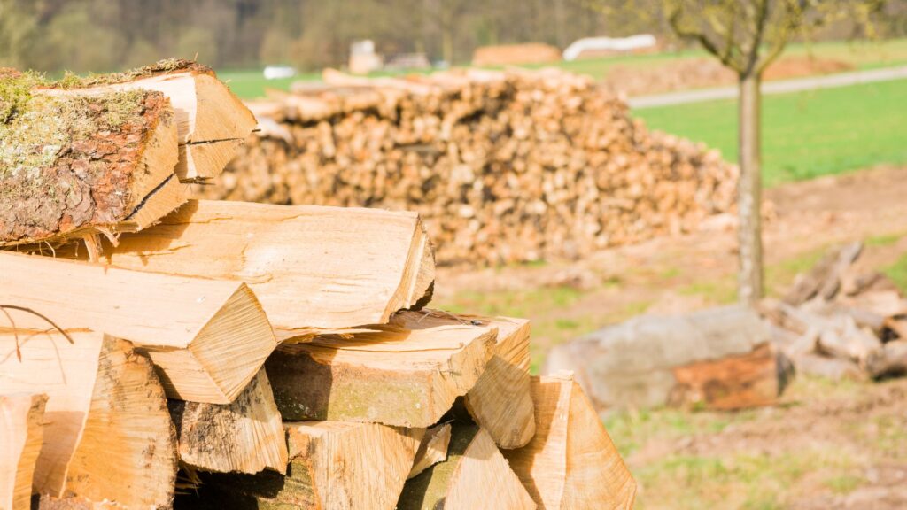 Qual a Diferenca Entre Serraria e Madeireira Entenda as Funcoes de Cada Uma